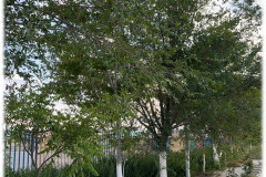 Слайд10