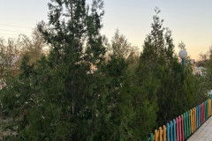 Слайд23