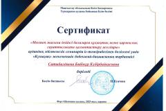 Бибинур-Сертификат-2025-семинардан-каржы-001